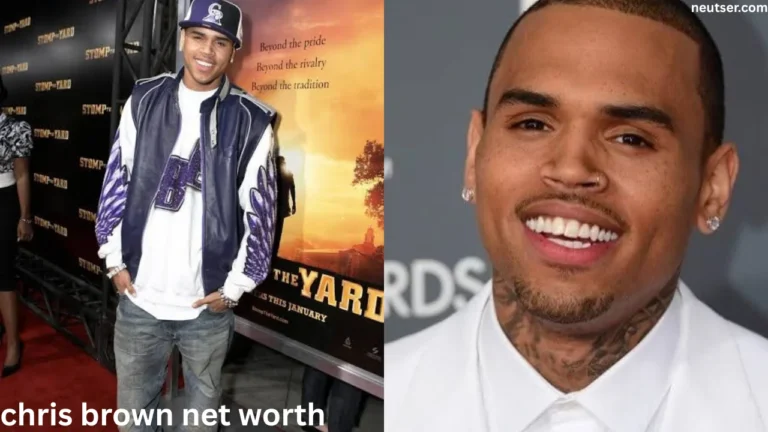 chris brown net worth